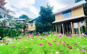 Blick auf den Garten