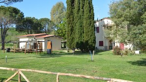 Una casa rural con jardín, un árbol alto y un cobertizo pequeño.
