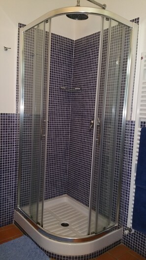 Regadera, secadora de cabello, bidet, toallas 