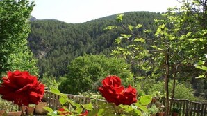 A garden with red roses and a view of a forested mountain. - Country House La Posada Del Río Carbo. (Villahermosa del Río, España –)