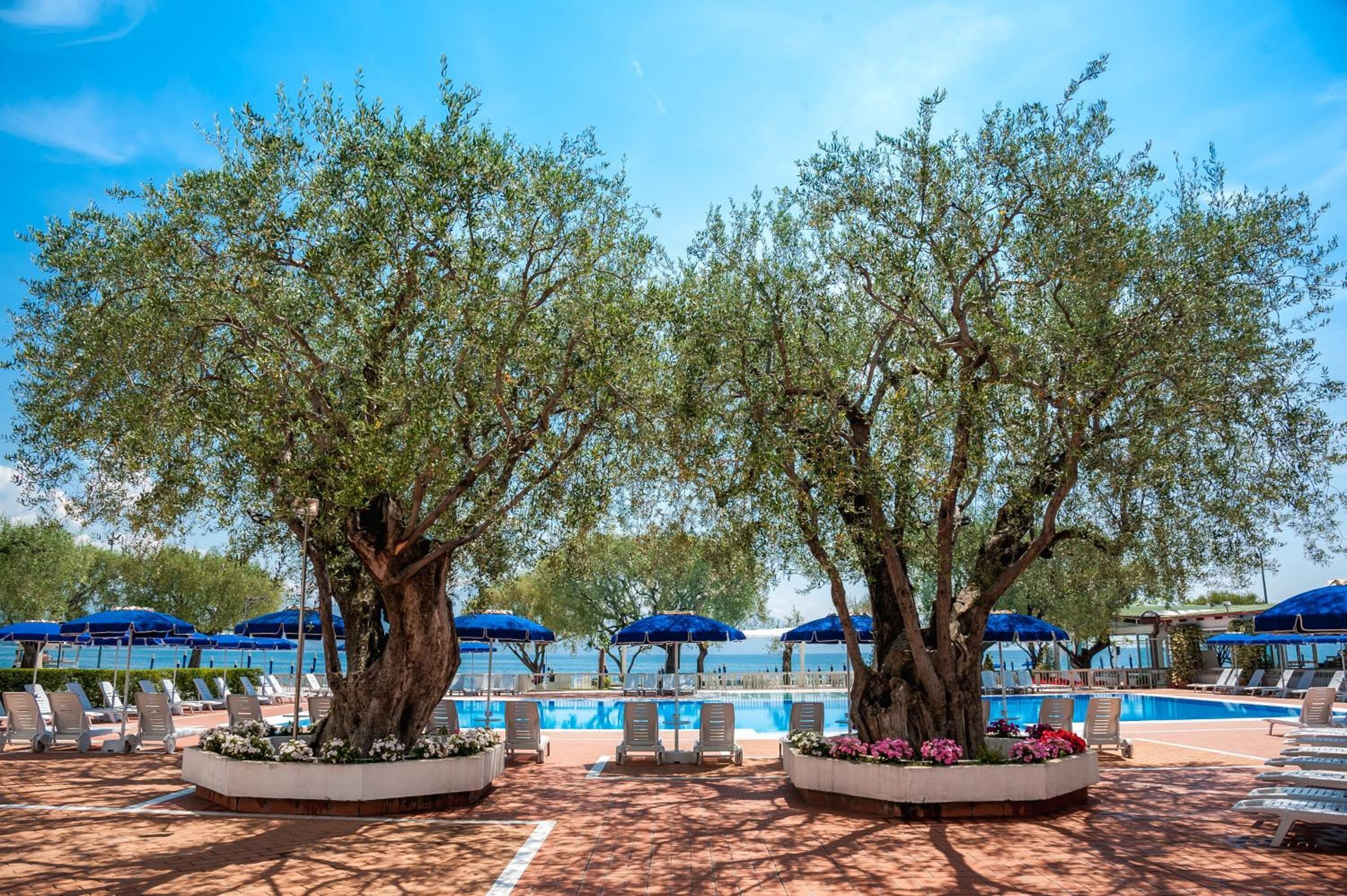 Seasonal outdoor pool
