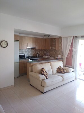 Televisie, een dvd-speler en boeken