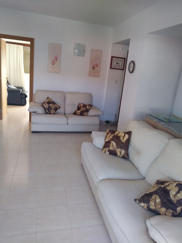 TV, DVD player, books