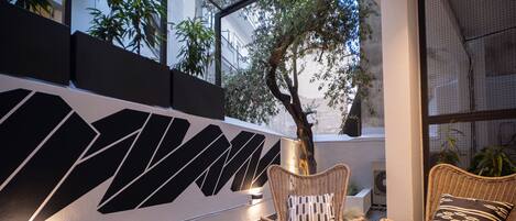 إطلالة على الفناء