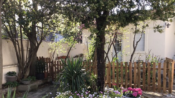 Ein Garten mit verschiedenen Blumentöpfen, Blumen, einem Holzzaun und einem Baum.