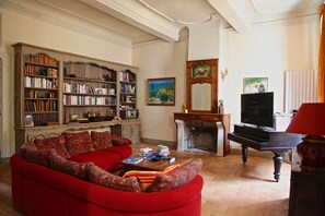 Télévision, cheminée, lecteur de DVD, livres