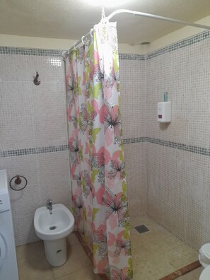 Chuveiro, secador de cabelo, bidê, toalhas de banho