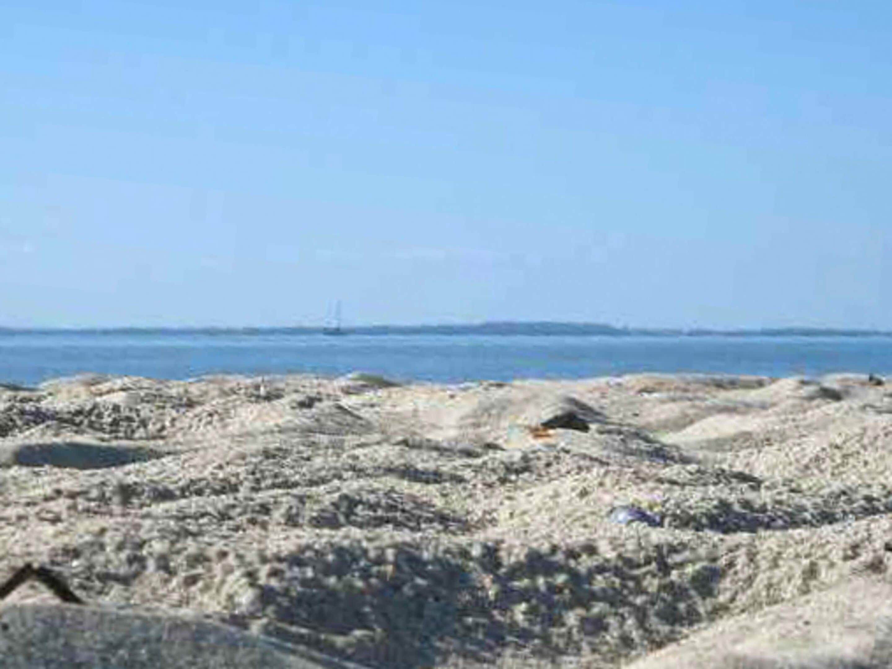 A rocky beach with a clear sky.