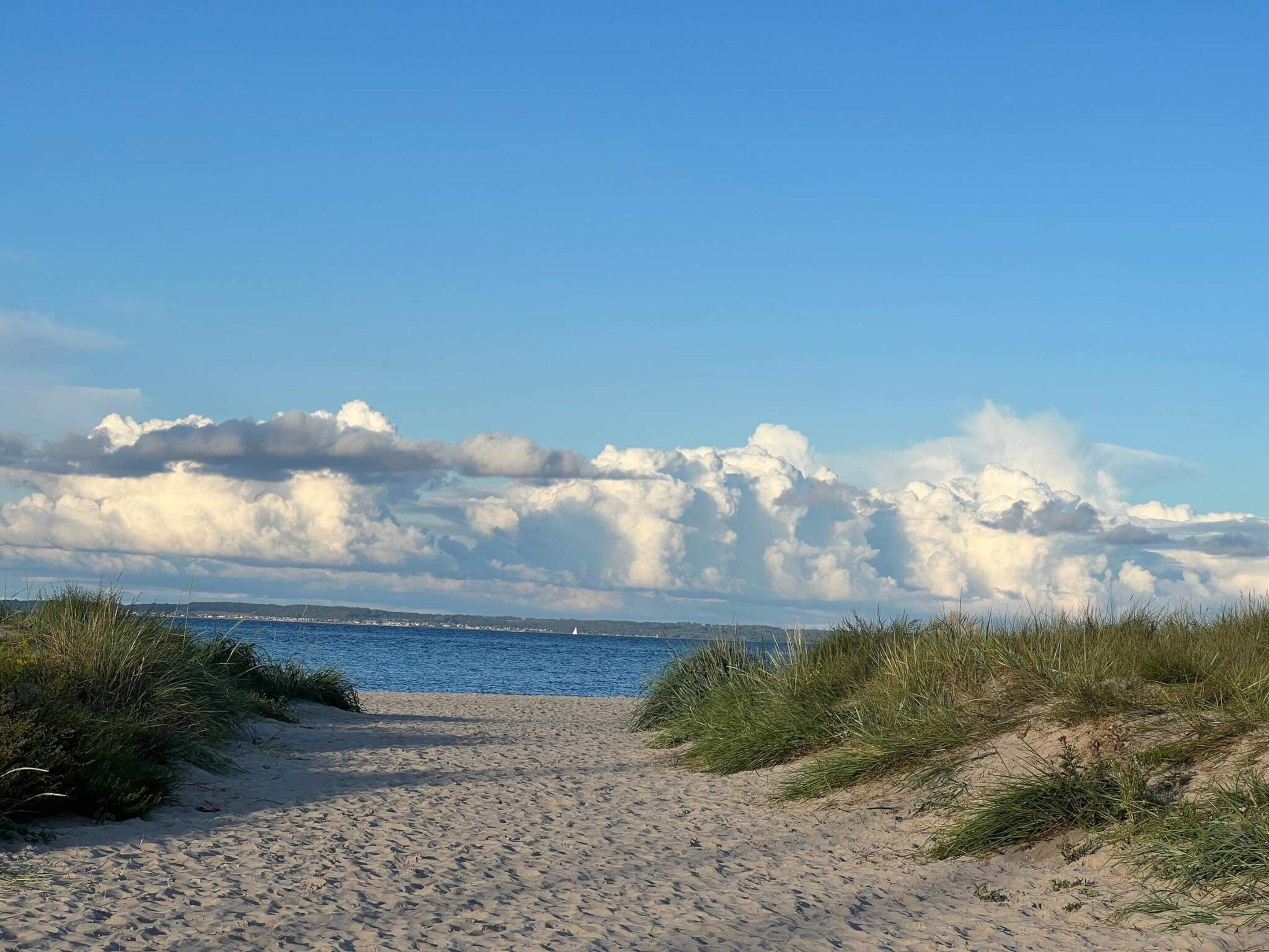 Ein Sandweg am Strand, der zum Meer führt, mit grasbewachsenen Dünen an beiden Seiten und einem klaren Himmel mit Wolken.