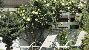 A garden with a large flowering tree, a metal bench, and a building in the background. - Vibrant Holiday Home in Nykobing Sj near Sea (Nykobing Sjaelland)