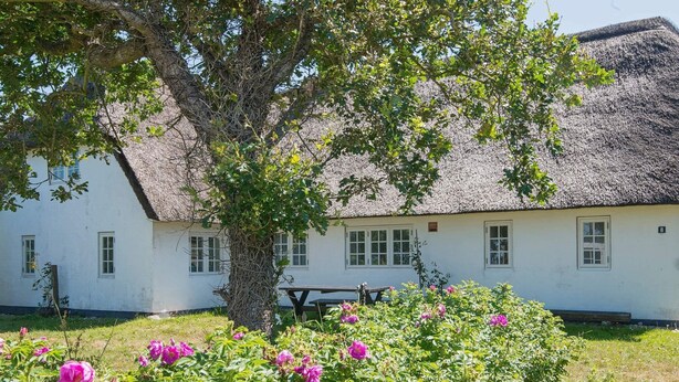 Um edifício branco com telhado de palha, rodeado por um jardim com flores cor-de-rosa.