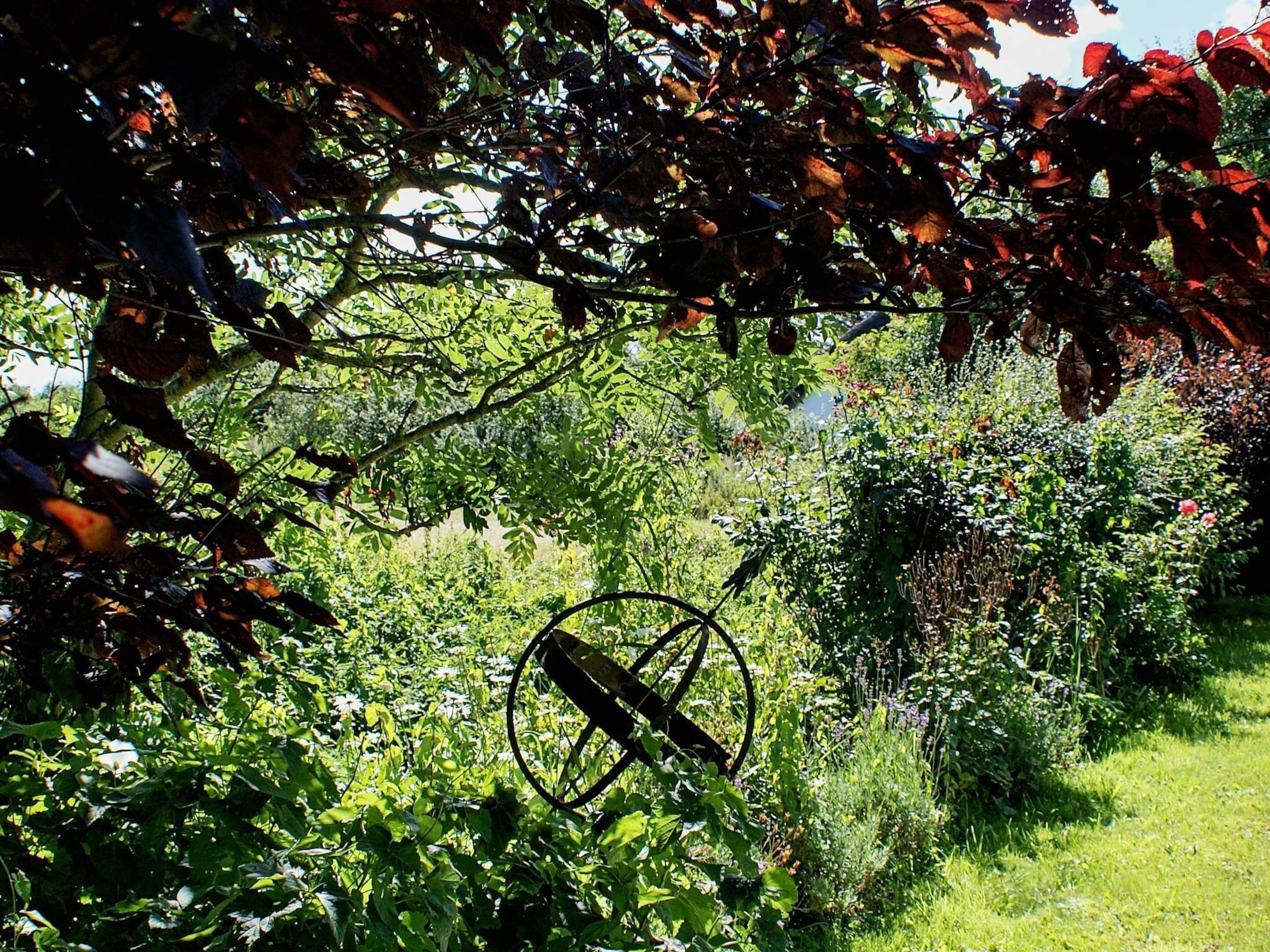 House | View from property