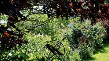 House | View from property