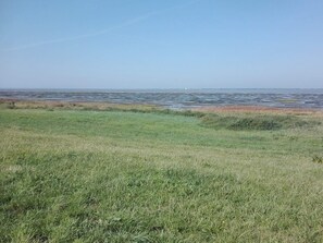 House | Miscellaneous