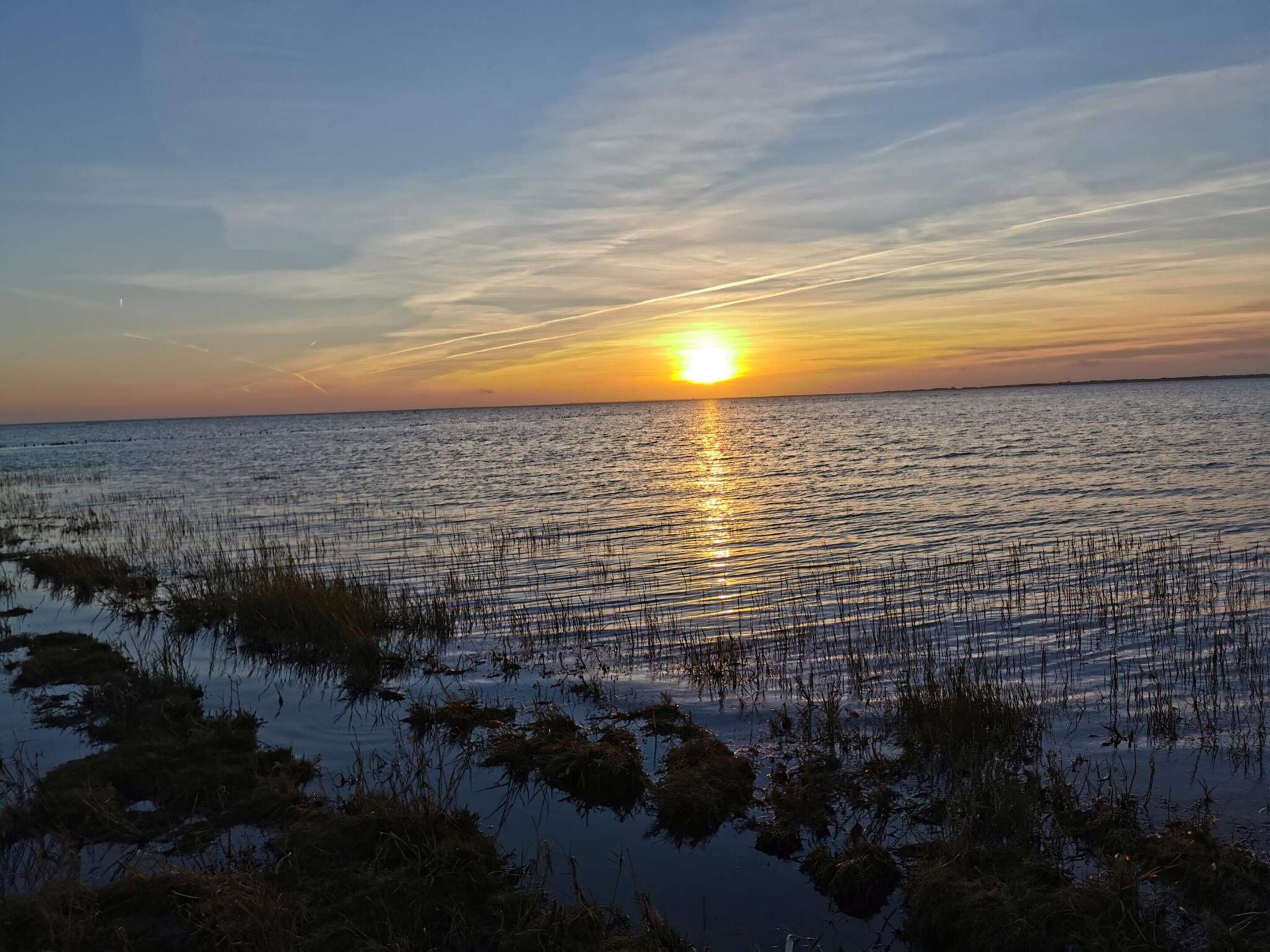 Ein Sonnenuntergang über ruhigem Wasser, im Vordergrund spärliche Vegetation.