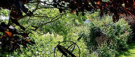 ハウス | 施設からの眺望