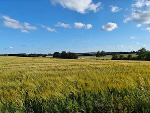 House | Miscellaneous