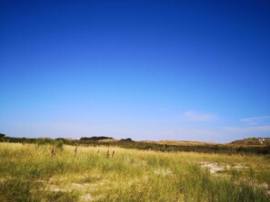 Ferienhaus | Verschiedenes