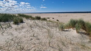 En bred sandstrand med gles vegetation och en klarblå himmel.