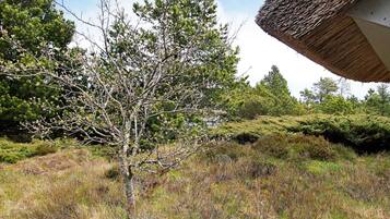 House | View from property