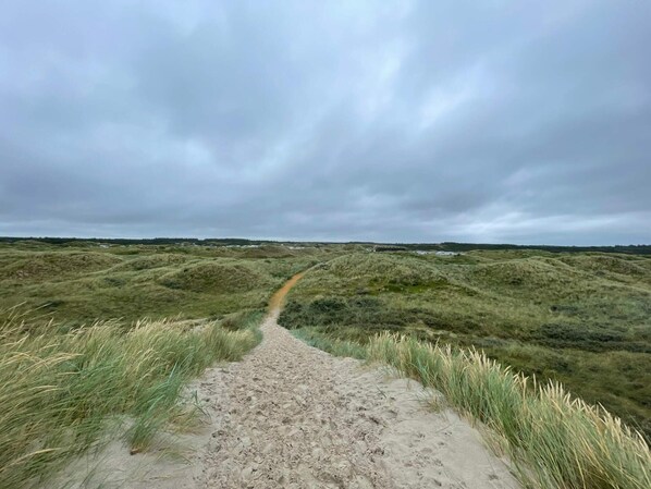 House | Miscellaneous