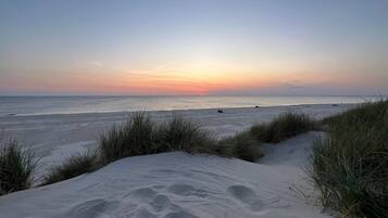 House | Beach