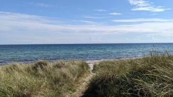 A coastal path leading to the sea with grassy dunes and a clear sky.
