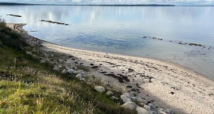 4 Star Holiday Home in Otterup
