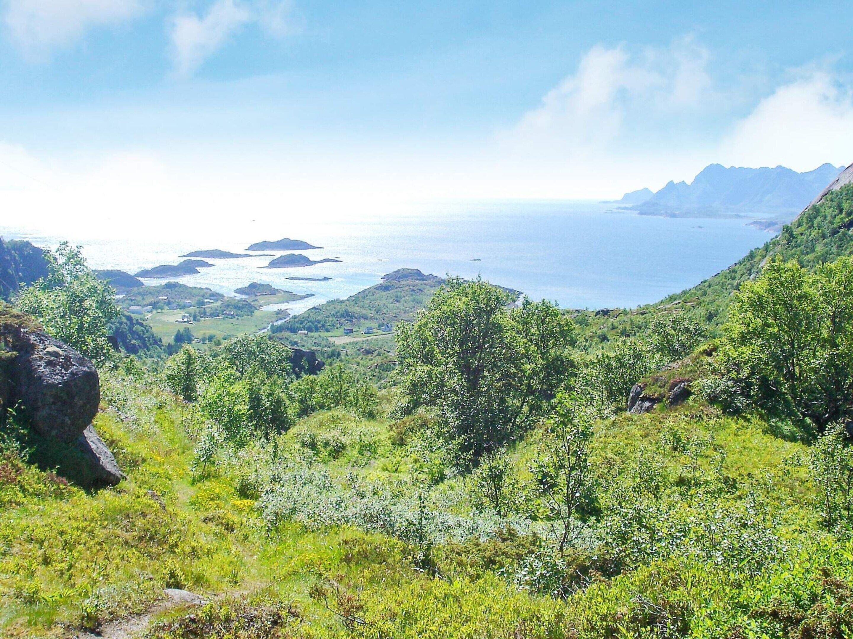 Eine Küstenlandschaft mit üppiger Vegetation und Blick auf das Meer und ferne Berge.