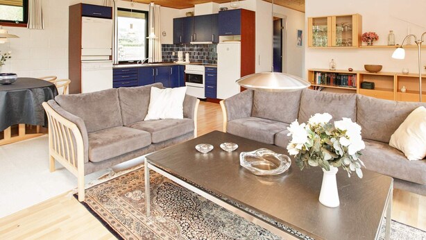 A modern living room with a grey sofa, a coffee table with decorative items, and a patterned rug. - 4 Person Holiday Home in Vaeggerlose (Vaeggerlose)