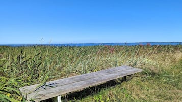 Um banco em um campo gramado com vista clara para o oceano e turbinas eólicas ao longe.