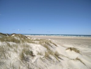 En strand med klitter og havet i baggrunden.