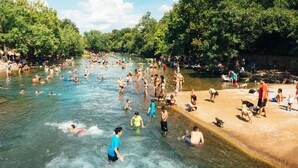 Un área de piscina al aire libre concurrida, con gente y perros.