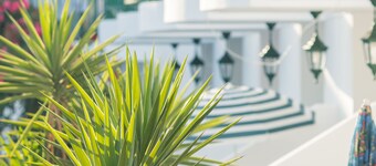 Wonderful apartment with a spectacular pool 5 minutes from the beach.