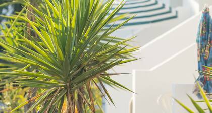 Wonderful apartment with a spectacular pool 5 minutes from the beach.