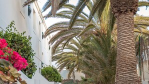 Un sendero bordeado de palmeras y buganvillas, que conduce a un edificio blanco con suelo de baldosas.