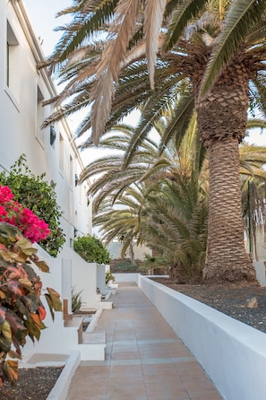 Overnattingsstedets uteområder