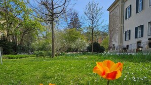 A garden with tulips and a building in the background. - GrazRentals (Graz)