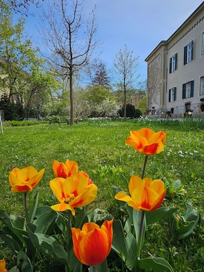 Jardim
