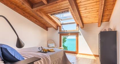 La maison des coquillages