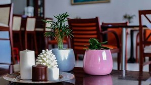 A dining table with three potted plants and candles. - Melis Studios (Kassandra)