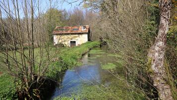 Áreas de la propiedad