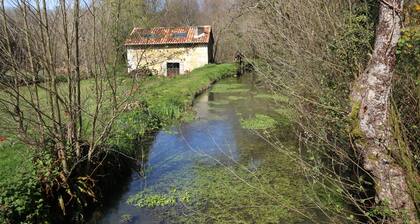 A charming old Water Mill in Perigord, surrounded by nature