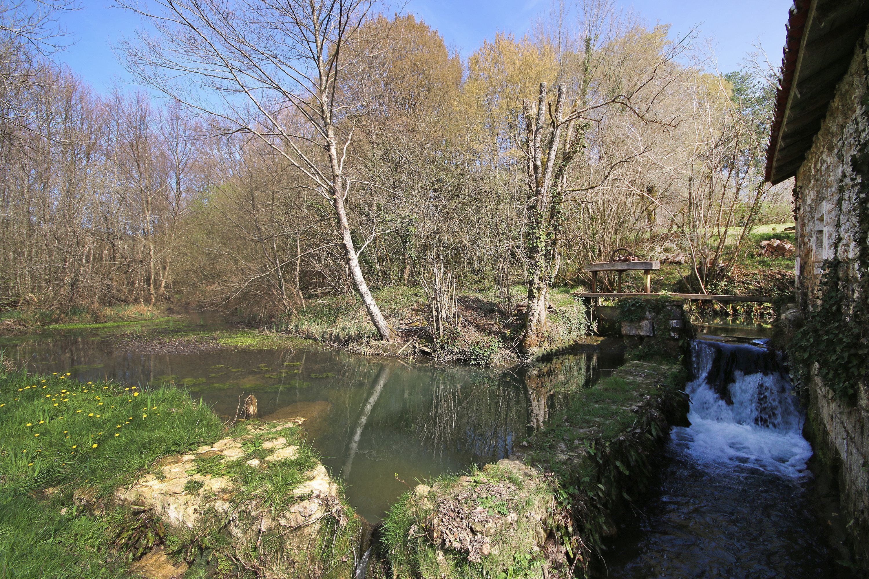 A natural landscape with a pond, a small waterfall, and a rustic wooden bridge.