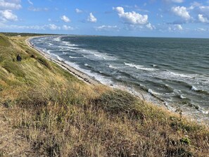 A coastal landscape with a grassy beach and ocean waves.