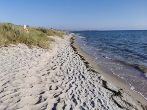 A sandy beach with footprints leading to the water, a grassy dune, and a clear sky.