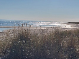 Una playa con arena, césped y el océano.