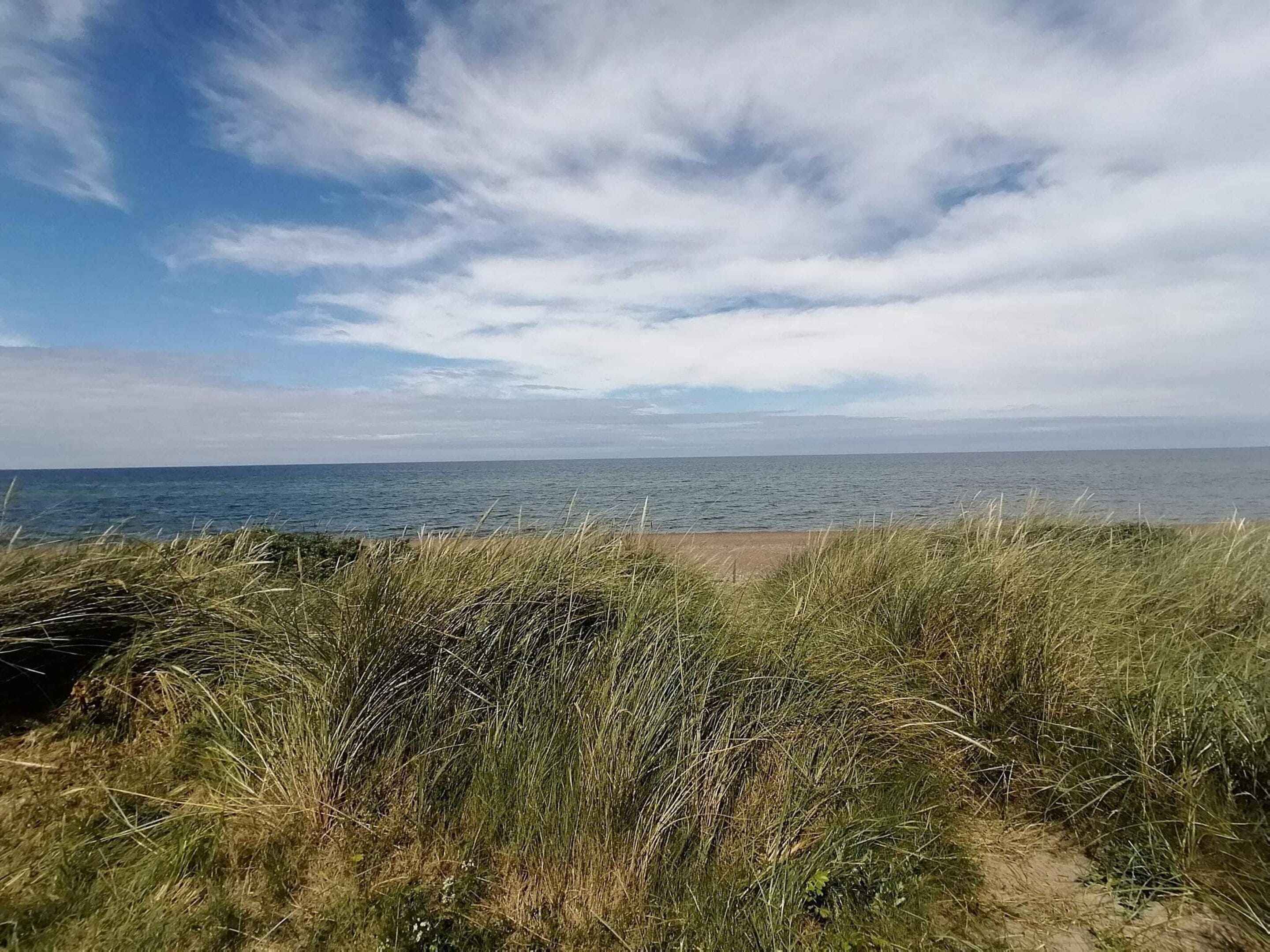A coastal landscape with a sandy beach and grassy dunes leading to the sea.