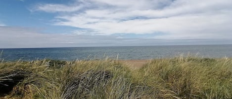A coastal landscape with a sandy beach and grassy dunes leading to the sea.