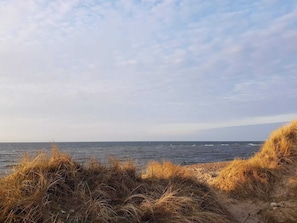Paisagem costeira com uma praia de areia e dunas gramadas.